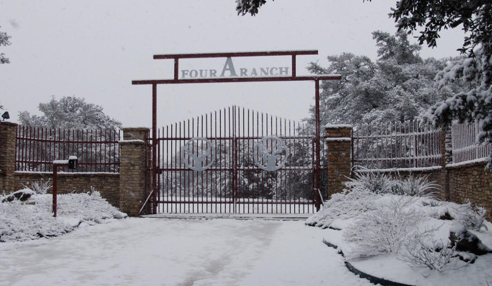 gate-snow